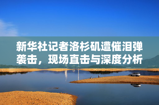 新华社记者洛杉矶遭催泪弹袭击，现场直击与深度分析