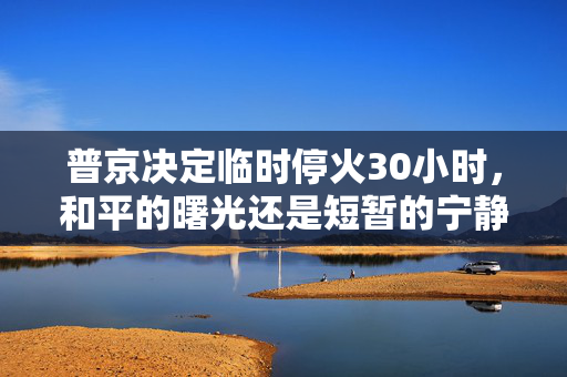 普京决定临时停火30小时，和平的曙光还是短暂的宁静？