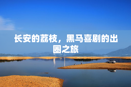 长安的荔枝，黑马喜剧的出圈之旅