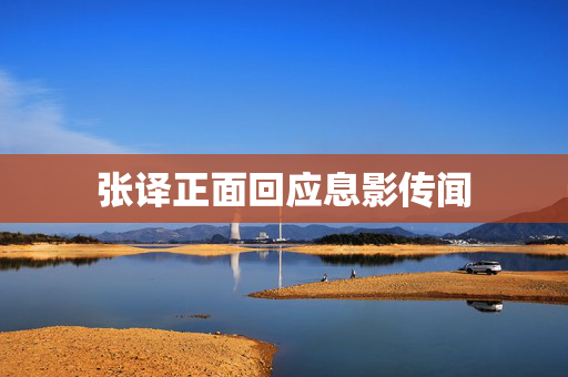 张译正面回应息影传闻