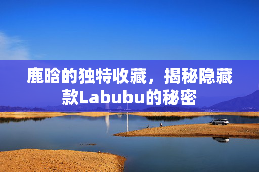 鹿晗的独特收藏，揭秘隐藏款Labubu的秘密