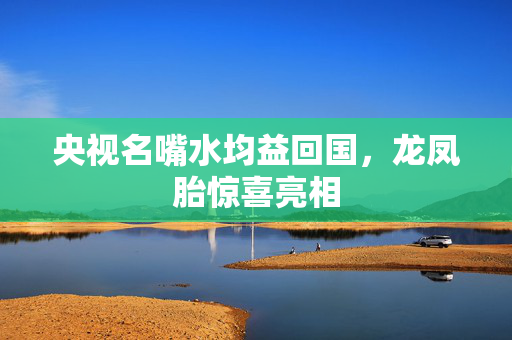 央视名嘴水均益回国，龙凤胎惊喜亮相