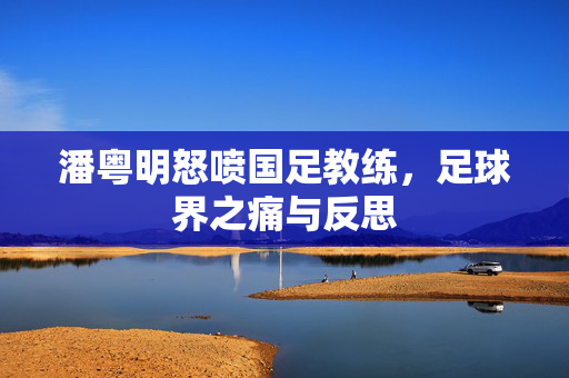 潘粤明怒喷国足教练，足球界之痛与反思
