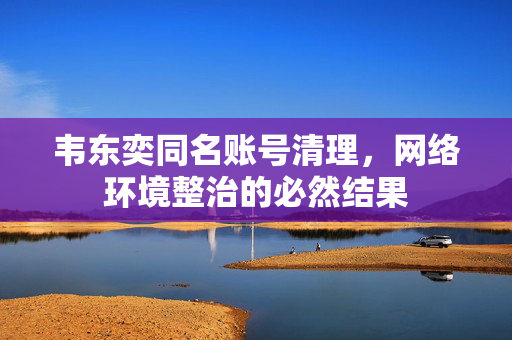 韦东奕同名账号清理，网络环境整治的必然结果