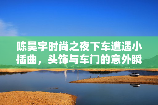 陈昊宇时尚之夜下车遭遇小插曲，头饰与车门的意外瞬间