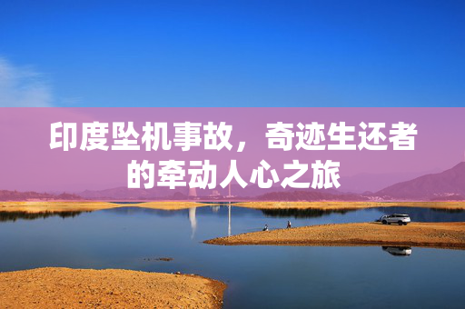 印度坠机事故，奇迹生还者的牵动人心之旅