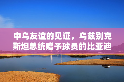中乌友谊的见证，乌兹别克斯坦总统赠予球员的比亚迪汽车