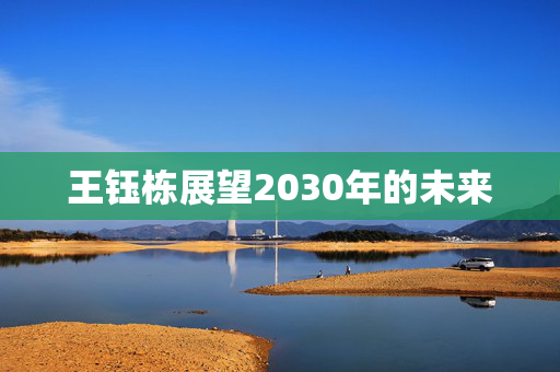 王钰栋展望2030年的未来