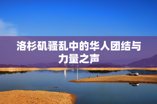 洛杉矶骚乱中的华人团结与力量之声
