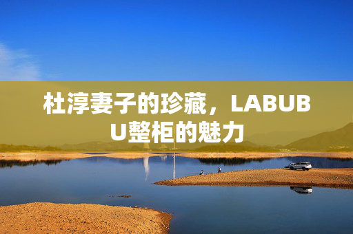 杜淳妻子的珍藏，LABUBU整柜的魅力