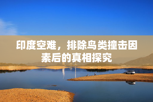 印度空难，排除鸟类撞击因素后的真相探究