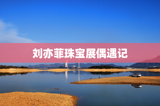 刘亦菲珠宝展偶遇记