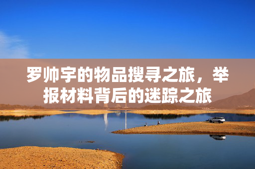 罗帅宇的物品搜寻之旅，举报材料背后的迷踪之旅