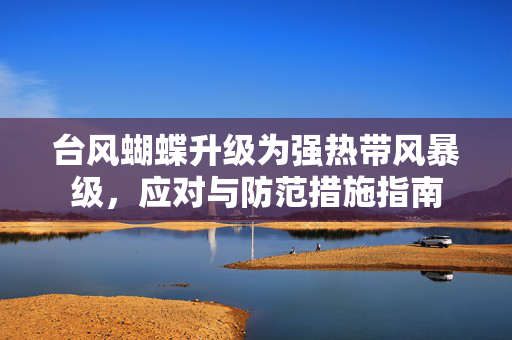 台风蝴蝶升级为强热带风暴级，应对与防范措施指南