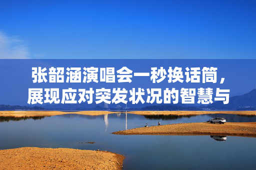 张韶涵演唱会一秒换话筒，展现应对突发状况的智慧与勇气