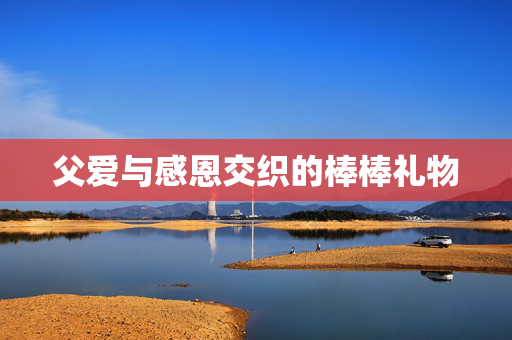 父爱与感恩交织的棒棒礼物