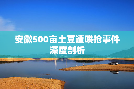 安徽500亩土豆遭哄抢事件深度剖析
