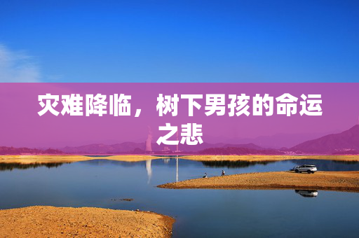 灾难降临，树下男孩的命运之悲