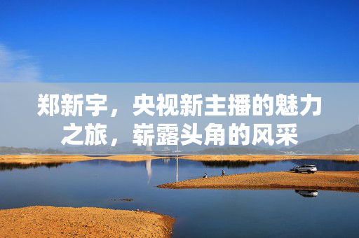 郑新宇，央视新主播的魅力之旅，崭露头角的风采