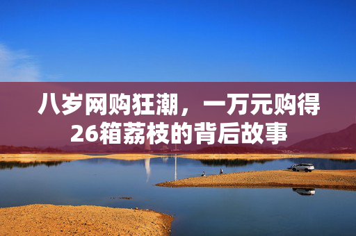 八岁网购狂潮，一万元购得26箱荔枝的背后故事
