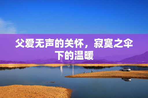 父爱无声的关怀，寂寞之伞下的温暖