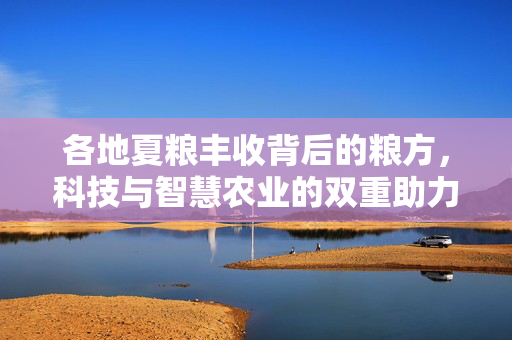 各地夏粮丰收背后的粮方，科技与智慧农业的双重助力