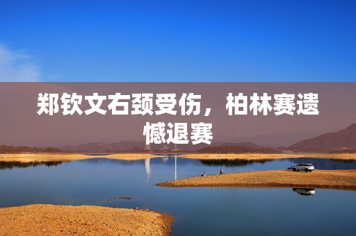 郑钦文右颈受伤，柏林赛遗憾退赛