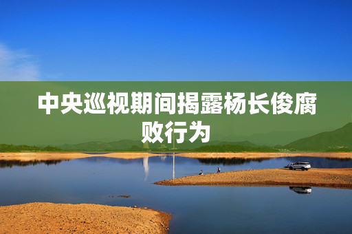 中央巡视期间揭露杨长俊腐败行为