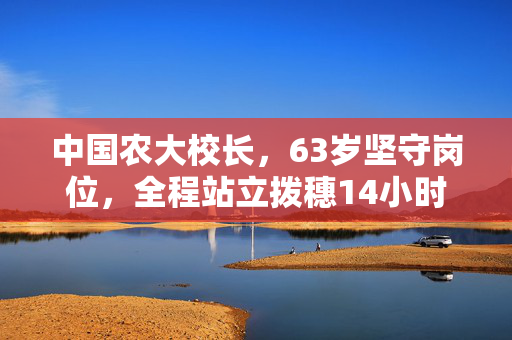 中国农大校长，63岁坚守岗位，全程站立拨穗14小时的奉献精神