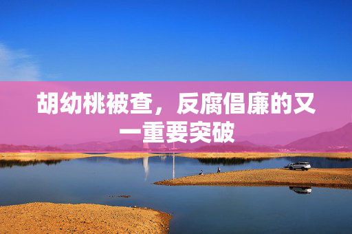 胡幼桃被查，反腐倡廉的又一重要突破