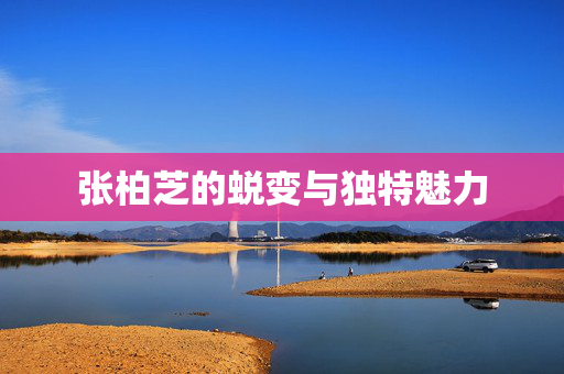 张柏芝的蜕变与独特魅力