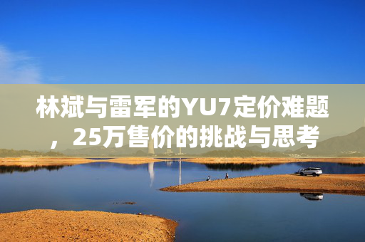 林斌与雷军的YU7定价难题，25万售价的挑战与思考