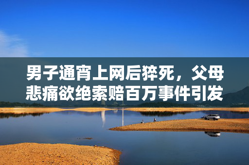 男子通宵上网后猝死，父母悲痛欲绝索赔百万事件引发关注