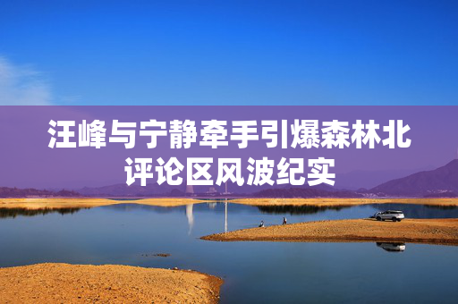 汪峰与宁静牵手引爆森林北评论区风波纪实
