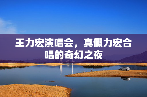 王力宏演唱会，真假力宏合唱的奇幻之夜