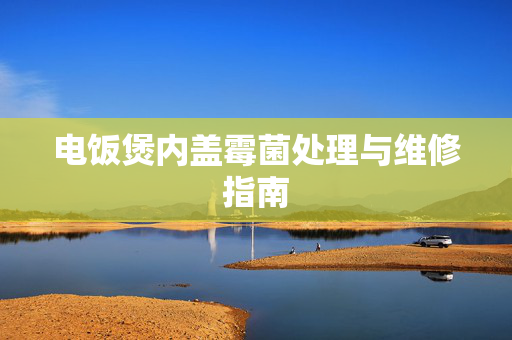 电饭煲内盖霉菌处理与维修指南
