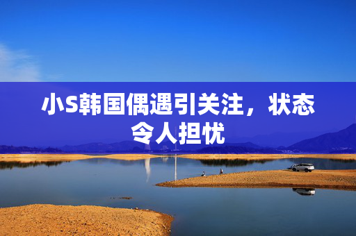 小S韩国偶遇引关注，状态令人担忧