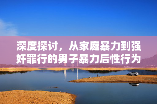深度探讨，从家庭暴力到强奸罪行的男子暴力后性行为