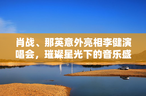 肖战、那英意外亮相李健演唱会，璀璨星光下的音乐盛宴