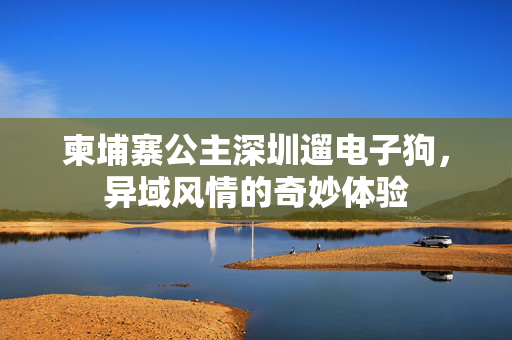 柬埔寨公主深圳遛电子狗，异域风情的奇妙体验