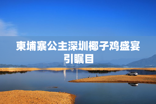 柬埔寨公主深圳椰子鸡盛宴引瞩目