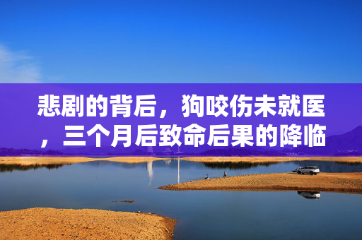悲剧的背后，狗咬伤未就医，三个月后致命后果的降临