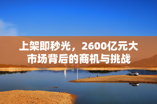 上架即秒光，2600亿元大市场背后的商机与挑战