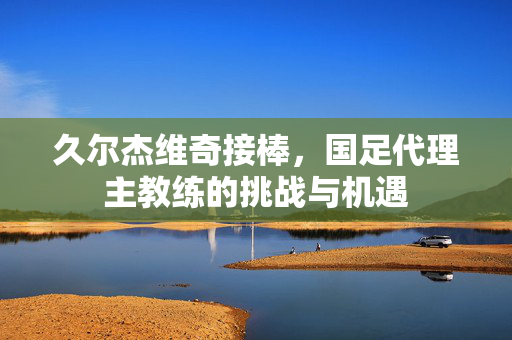 久尔杰维奇接棒，国足代理主教练的挑战与机遇