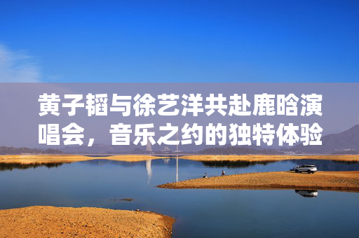 黄子韬与徐艺洋共赴鹿晗演唱会，音乐之约的独特体验
