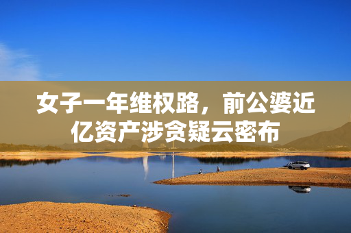 女子一年维权路，前公婆近亿资产涉贪疑云密布