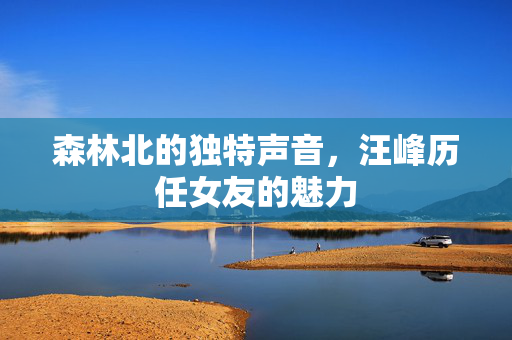 森林北的独特声音，汪峰历任女友的魅力