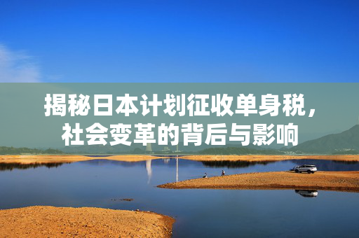 揭秘日本计划征收单身税，社会变革的背后与影响