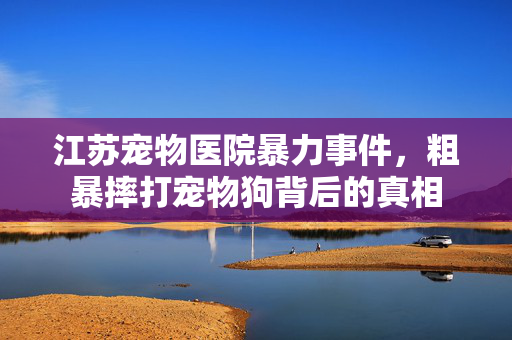 江苏宠物医院暴力事件，粗暴摔打宠物狗背后的真相