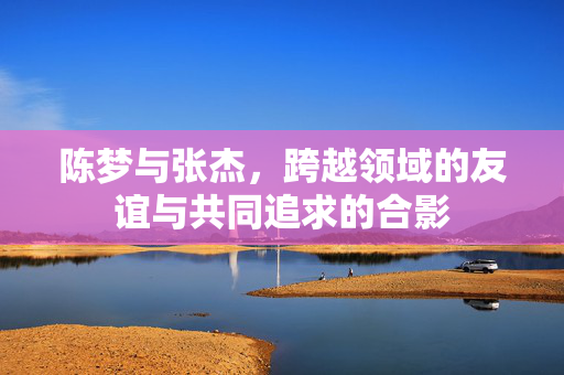 陈梦与张杰，跨越领域的友谊与共同追求的合影